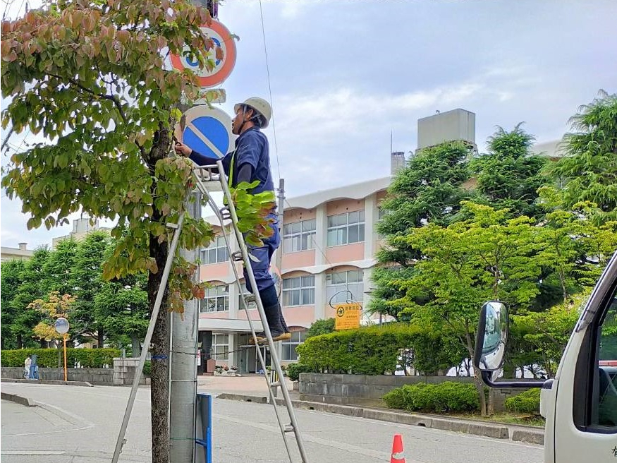 街路樹